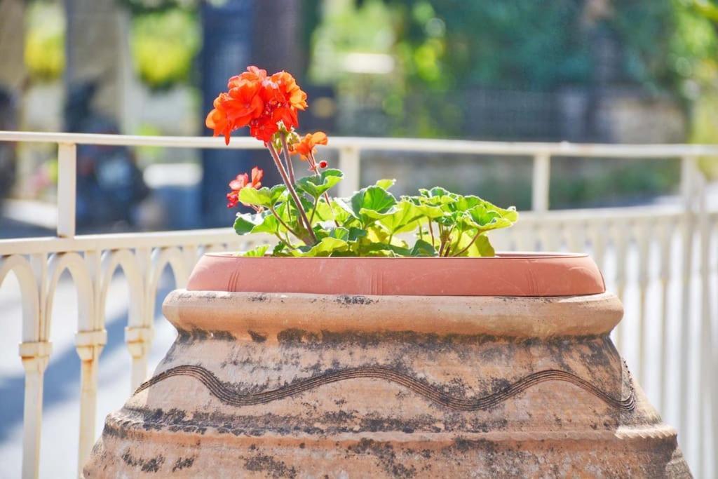 Apartment The Mansion House Corfu Pyrgi (Corfu)