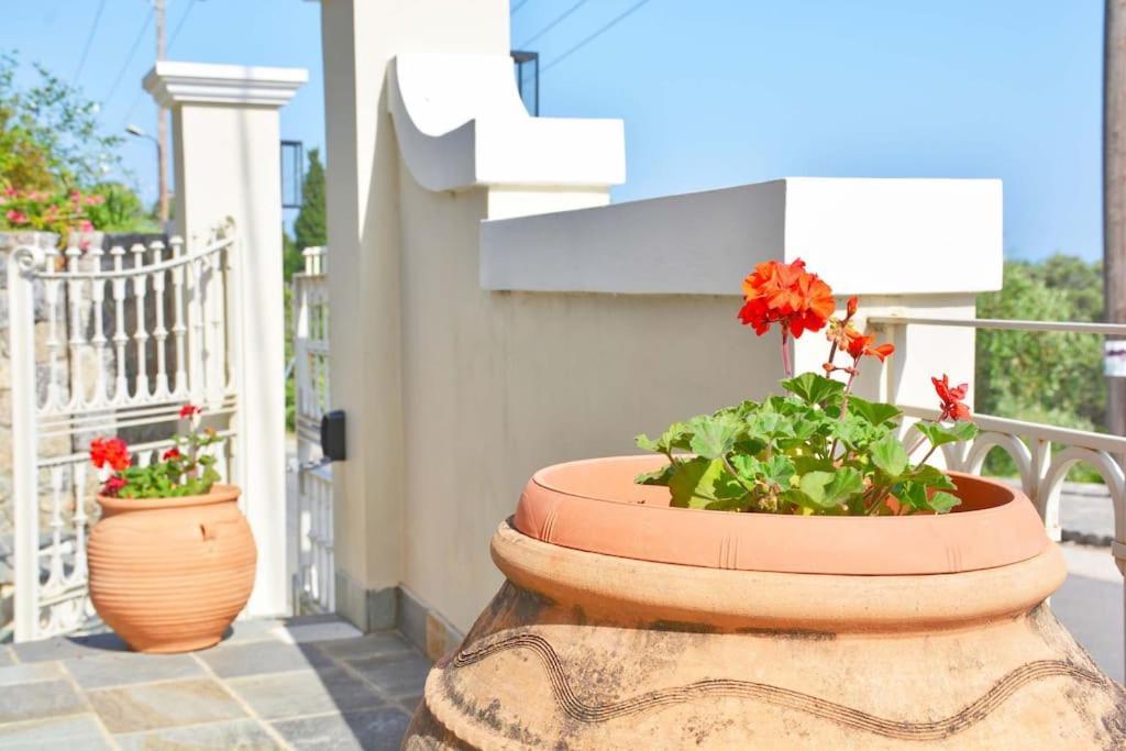 Apartment The Mansion House Corfu